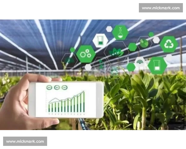 赛道领先优势如何打造 打破竞争瓶颈引领行业新潮流